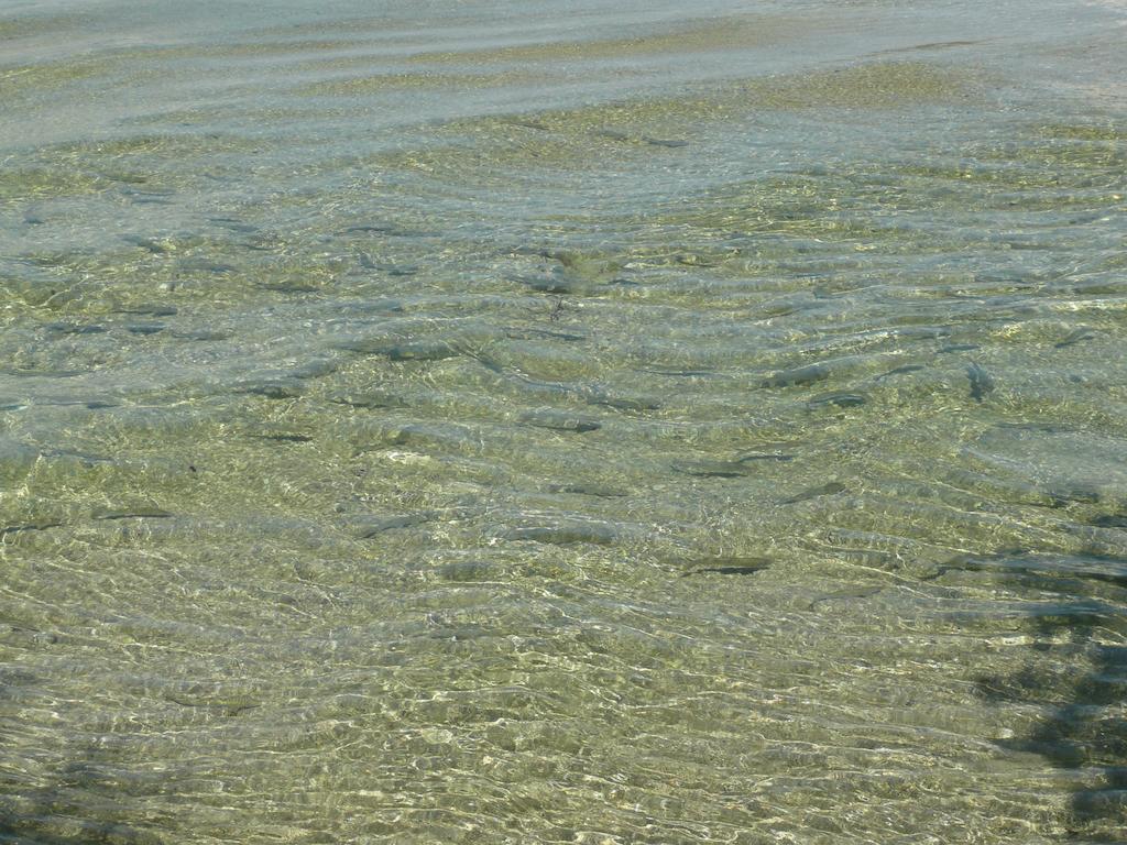 Gasthaus Pension Zur Nixe Steinbach am Attersee Ngoại thất bức ảnh