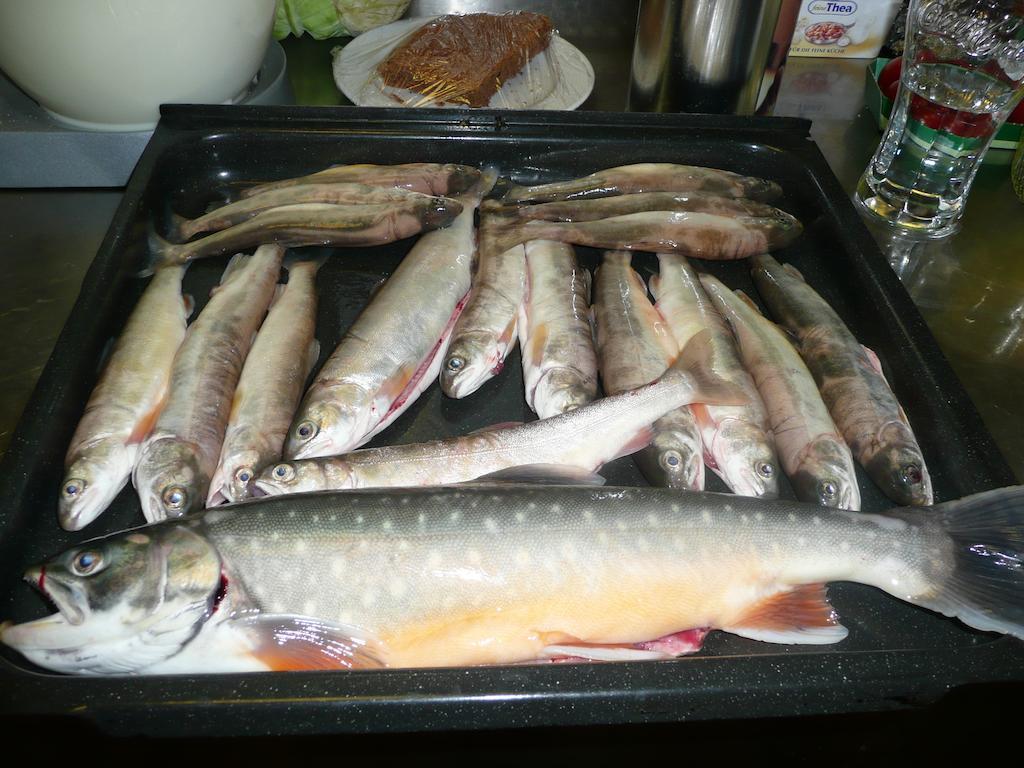 Gasthaus Pension Zur Nixe Steinbach am Attersee Ngoại thất bức ảnh